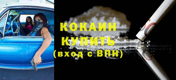 гашик Ельня