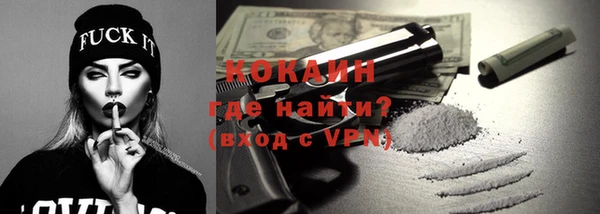 гашик Ельня