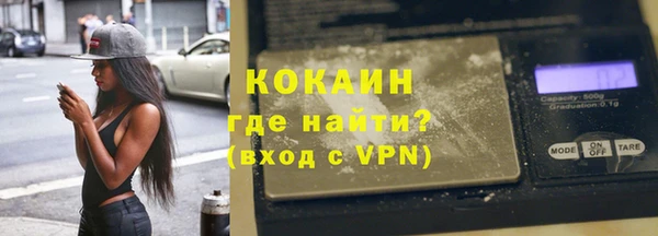 гашик Ельня