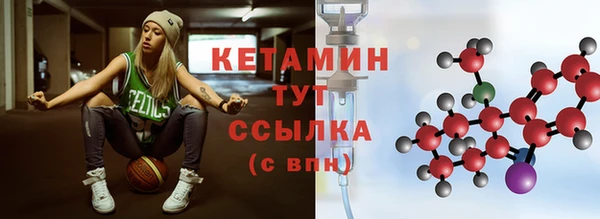гашик Ельня