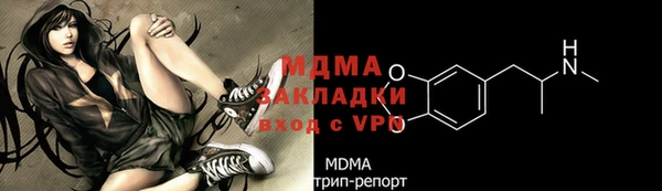 гашик Ельня
