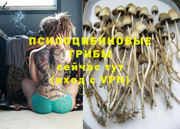 ГАЛЛЮЦИНОГЕННЫЕ ГРИБЫ Тобольск