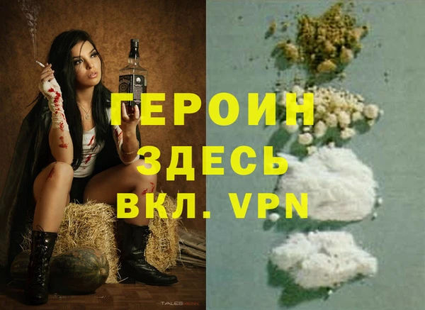 гашик Ельня