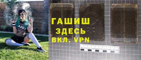 гашик Ельня