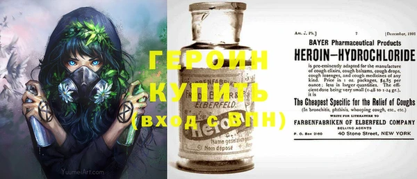 гашик Ельня