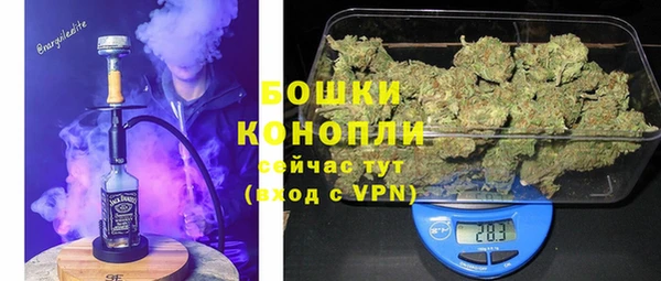гашик Ельня