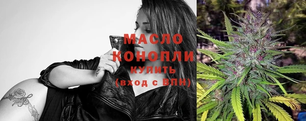 гашик Ельня