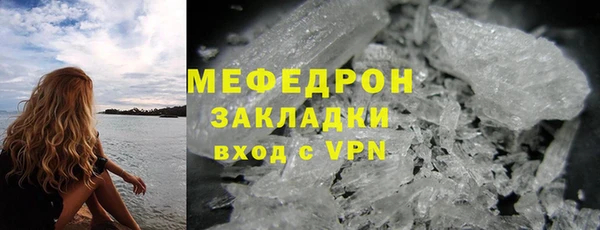 гашик Ельня