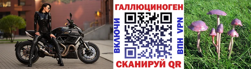Галлюциногенные грибы Psilocybe  Купить  Михайловка 